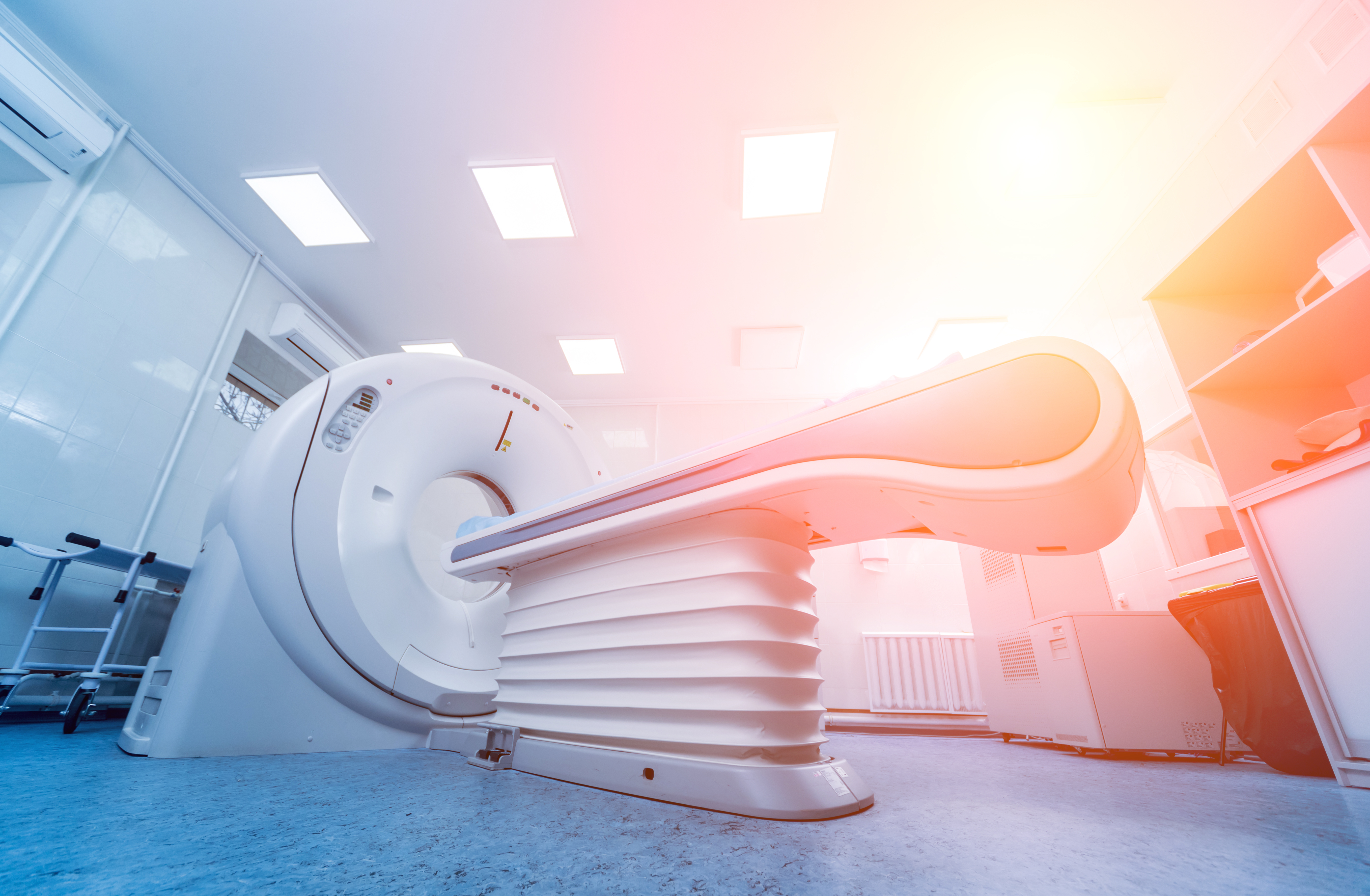 shutterstock 1911526819